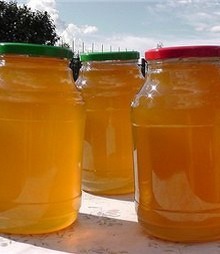 Купить гречишный мёд в Красноярске